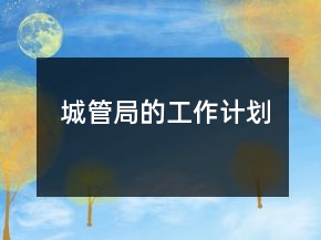 城管局的工作计划