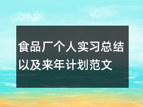 食品厂个人实习总结以及来年计划范文