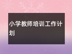 小学教师培训工作计划