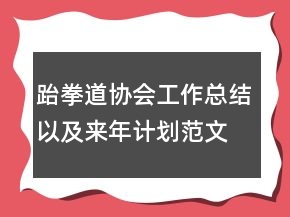 跆拳道协会工作总结以及来年计划范文