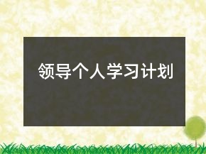 领导个人学习计划