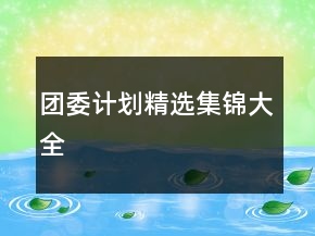 团委计划精选集锦大全