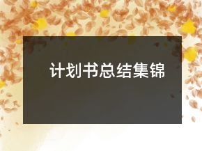 计划书总结集锦