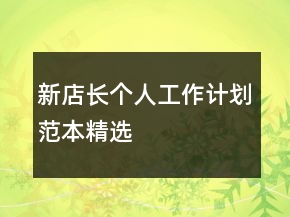 新店长个人工作计划范本精选