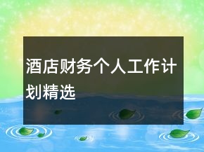 酒店财务个人工作计划精选