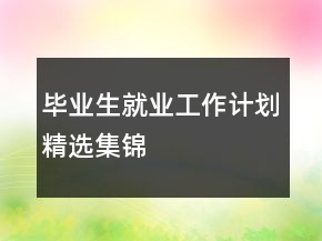 毕业生就业工作计划精选集锦