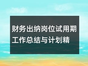 财务出纳岗位试用期工作总结与计划精选