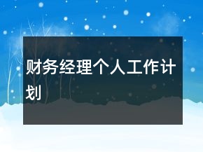 财务经理个人工作计划