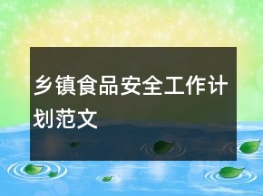 乡镇食品安全工作计划范文