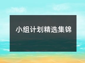 小组计划精选集锦
