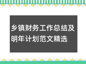 乡镇财务工作总结及明年计划范文精选