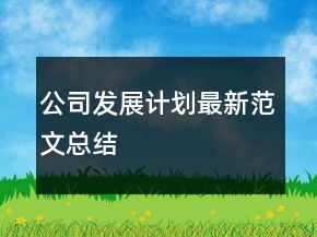 公司发展计划最新范文总结