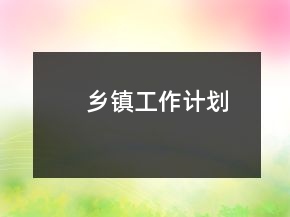 乡镇工作计划