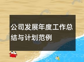 公司发展年度工作总结与计划范例