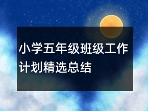 小学五年级班级工作计划精选总结