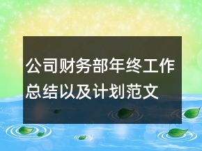 公司财务部年终工作总结以及计划范文