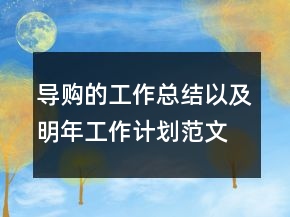 导购的工作总结以及明年工作计划范文