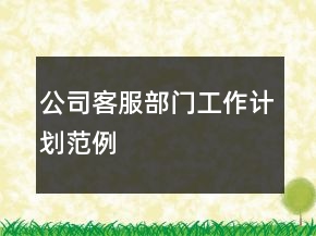 公司客服部门工作计划范例