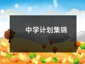 中学计划集锦