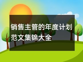销售主管的年度计划范文集锦大全