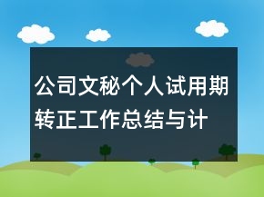 公司文秘个人试用期转正工作总结与计划精选
