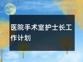 医院手术室护士长工作计划