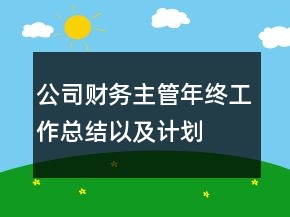公司财务主管年终工作总结以及计划