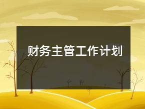 财务主管工作计划