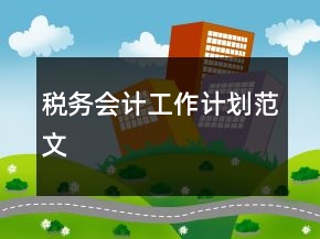 税务会计工作计划范文