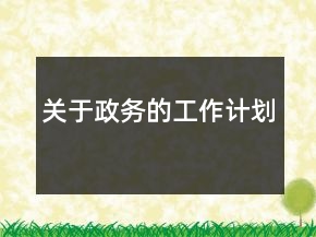 关于政务的工作计划
