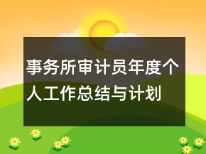 事务所审计员年度个人工作总结与计划范例