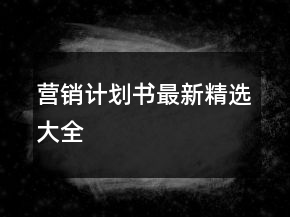 营销计划书最新精选大全
