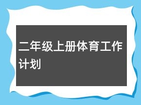 二年级上册体育工作计划