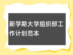 新学期大学组织部工作计划范本