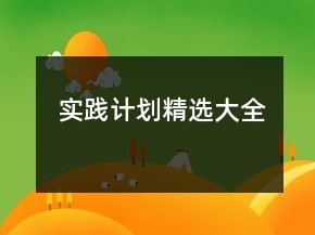 实践计划精选大全