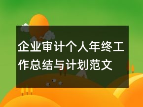 企业审计个人年终工作总结与计划范文精选
