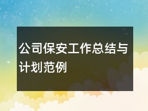 公司保安工作总结与计划范例