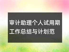 审计助理个人试用期工作总结与计划范例