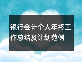 银行会计个人年终工作总结及计划范例