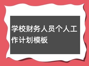 学校财务人员个人工作计划模板