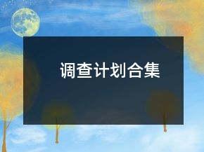 调查计划合集