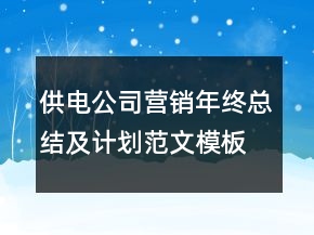 供电公司营销年终总结及计划范文模板