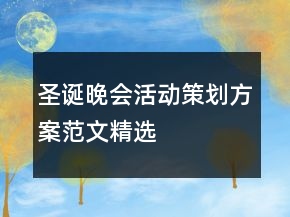 圣诞晚会活动策划方案范文精选