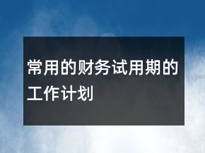 常用的财务试用期的工作计划