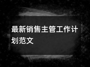 最新销售主管工作计划范文