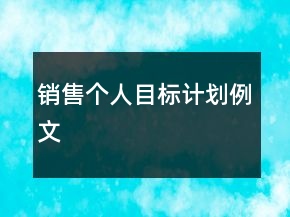 销售个人目标计划例文