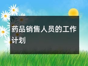 药品销售人员的工作计划