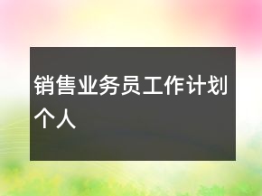 销售业务员工作计划个人