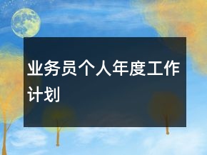 业务员个人年度工作计划