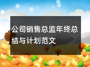 公司销售总监年终总结与计划范文